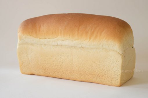Witbrood